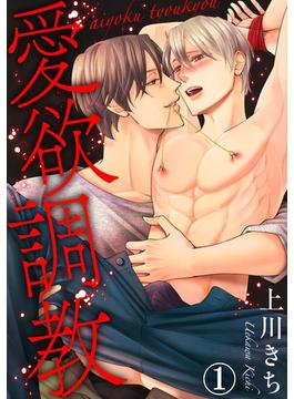 【全1-31セット】愛欲調教(BL宣言)
