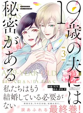 19歳の夫には秘密がある【単行本版】 3巻(コイバナ)