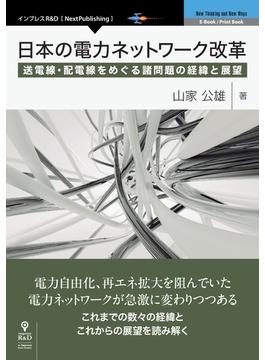 日本の電力ネットワーク改革