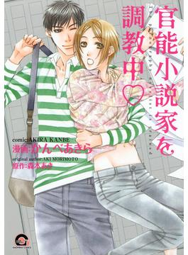 【1-5セット】官能小説家を調教中ｖ(GUSH COMICS)