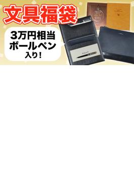 【文具福袋】３万円福袋ボールペンタイプ