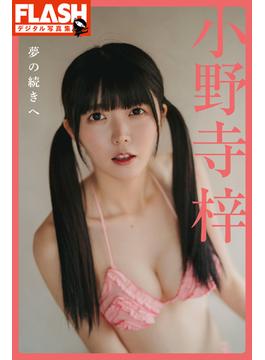 FLASHデジタル写真集　小野寺梓　夢の続きへ(FLASHデジタル写真集)
