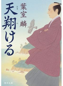 天翔ける(角川文庫)