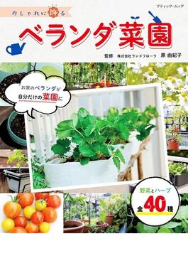 おしゃれに飾るベランダ菜園