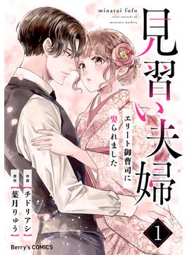 【全1-4セット】見習い夫婦～エリート御曹司に娶られました～(Berry's COMICS)