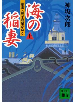 海の稲妻（上）　根来・種子島衆がゆく(講談社文庫)