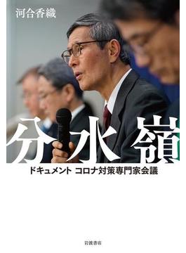 分水嶺