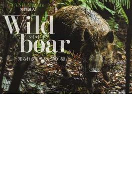 Ｗｉｌｄ ｂｏａｒ 知られざるイノシシの「棲」