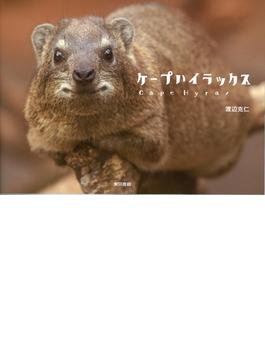 ケープハイラックス