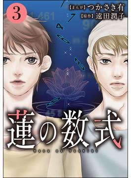 蓮の数式 （3）