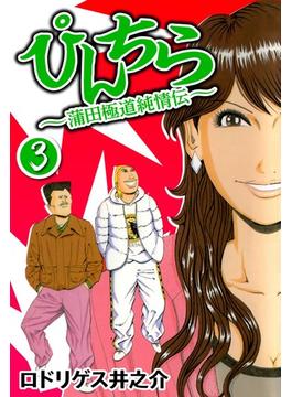 ぴんちら 蒲田極道純情伝 3