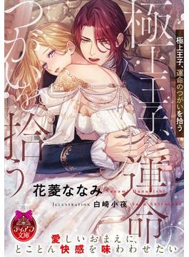 極上王子、運命のつがいを拾う【イラスト付】(ティアラ文庫)