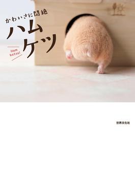 かわいさに悶絶 ハムケツ