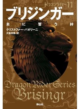 【11-15セット】ドラゴンライダー