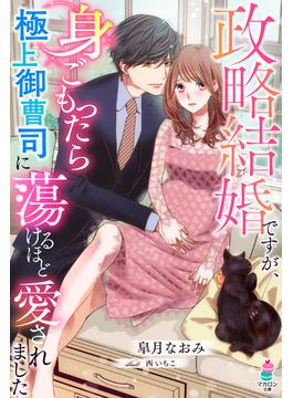 政略結婚ですが、身ごもったら極上御曹司に蕩けるほど愛されました(マカロン文庫)