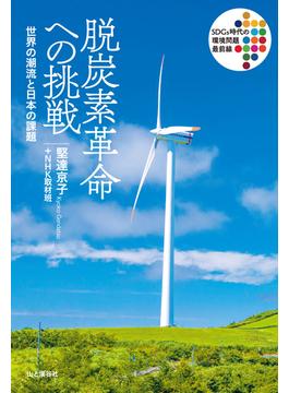 脱炭素革命への挑戦 世界の潮流と日本の課題