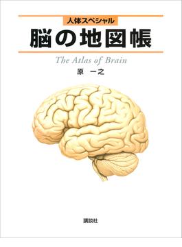人体スペシャル　脳の地図帳(地図帳)