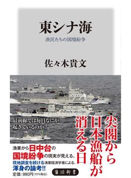 東シナ海 漁民たちの国境紛争(角川新書)