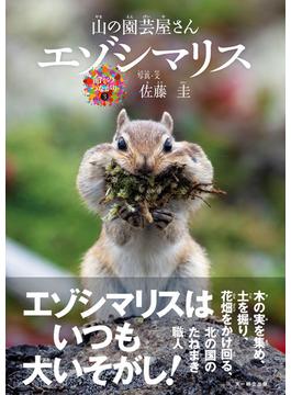 山の園芸屋さん エゾシマリス