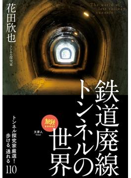 旅鉄BOOKS048　鉄道廃線トンネルの世界　トンネル探究家厳選！歩ける、通れる110