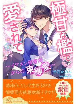 極甘な檻で愛されて　～イケメン御曹司からの束縛愛～【４】(チュールキス)