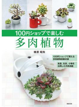 １００円ショップで楽しむ多肉植物