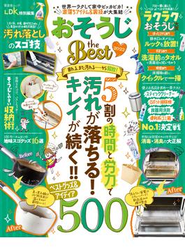 晋遊舎ムック おそうじ the Best 2022(晋遊舎ムック)