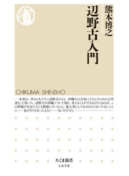 辺野古入門(ちくま新書)