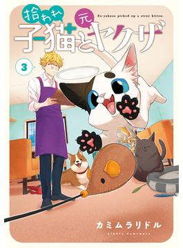 拾われ子猫と元ヤクザ 3巻(ブレイドコミックス ピクシブシリーズ)
