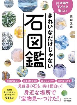 川や海で子どもと楽しむ きれいなだけじゃない石図鑑(ビジュアルだいわ文庫)
