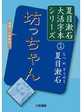夏目漱石大活字本シリーズ（１２冊セット） 12巻セット