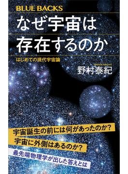 なぜ宇宙は存在するのか　はじめての現代宇宙論(講談社ブルーバックス)