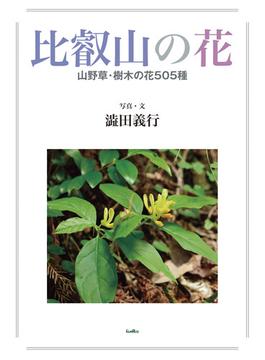 比叡山の花 山野草・樹木の花５０５種