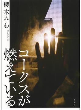 コークスが燃えている(集英社文芸単行本)