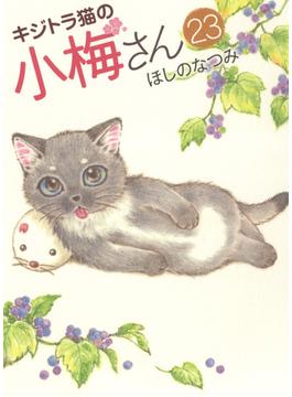 キジトラ猫の小梅さん ２３ （コミック）(ねこぱんちコミックス)