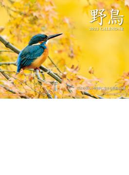 2023 野鳥カレンダー