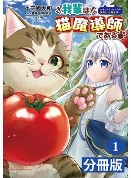 【全1-28セット】我輩は猫魔導師である～キジトラ・ルークの快適チート猫生活～【分冊版】(ポルカコミックス)