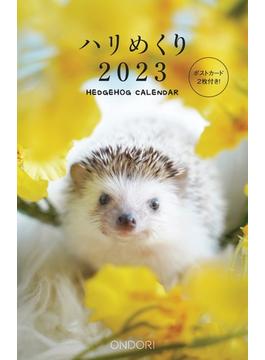 Hedgehog Calendar ハリめくり2023