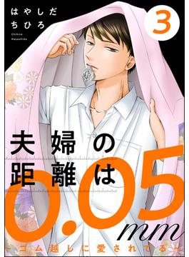 夫婦の距離は0.05mm ～ゴム越しに愛されてる～ （3）(ストーリーな女たち)