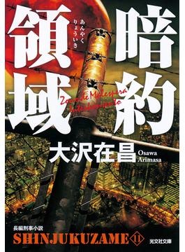 暗約領域　新宿鮫11(光文社文庫)