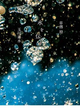 水を伝う 玉川毒水