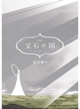 宝石の国（12）　特装版