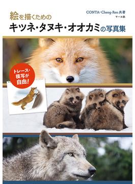 絵を描くためのキツネ・タヌキ・オオカミの写真集