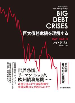 巨大債務危機を理解する(日本経済新聞出版)