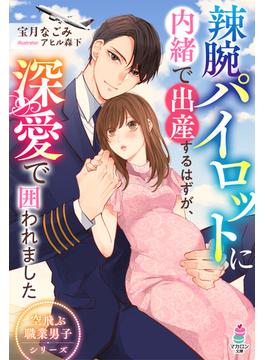 辣腕パイロットに内緒で出産するはずが、深愛で囲われました【空飛ぶ職業男子シリーズ】(マカロン文庫)