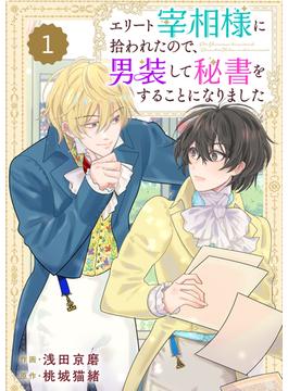 【全1-20セット】Berry's Fantasy エリート宰相様に拾われたので、男装して秘書をすることになりました（分冊版）(Berry's COMICS)