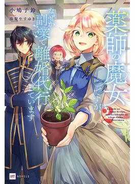 薬師の魔女ですが、なぜか副業で離婚代行しています2(DREノベルス)