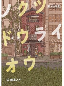 ノクツドウライオウ 靴ノ往来堂