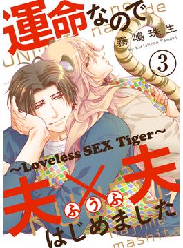 運命なので夫×夫はじめました　３～Loveless SEX Tiger～(光文社 BL COMICS / Pureri)