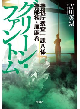 警視庁捜査一課八係 警部補・原麻希 グリーン・ファントム(宝島社文庫)